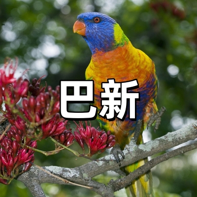 巴布亚新几内亚签...