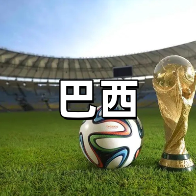巴西签证·五年多...