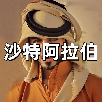 沙特阿拉伯签证·...