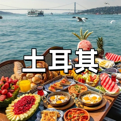 土耳其签证·稳定...