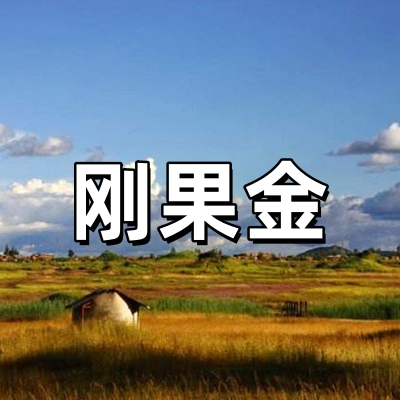 刚果金签证-全国...