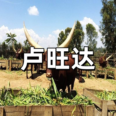 卢旺达签证-全国...