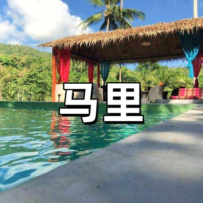 马里签证-全国受...
