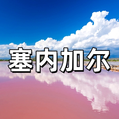 塞内加尔签证30...