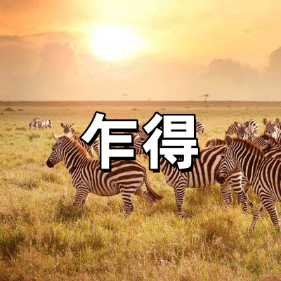 乍得签证-全国受...
