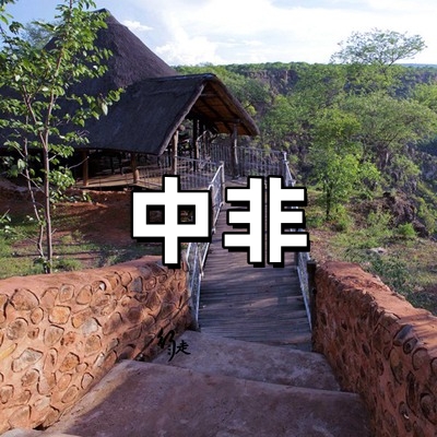 中非签证-全国受...